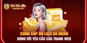 Cung cấp dữ liệu cá nhân đúng với yêu cầu của trang web