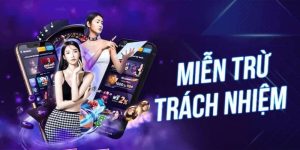 Một số thông tin cơ bản về quy định miễn trừ trách nhiệm